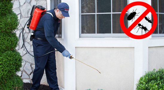 Dörtyol Hamam Böceği İlaçlama böcek ilaçlama ve haşere kontrolü — ilaclama-tr.com